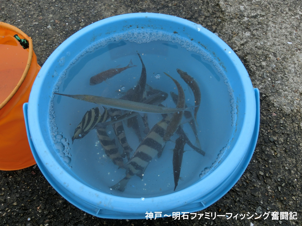 f:id:yggxq957:20180916194052j:plain