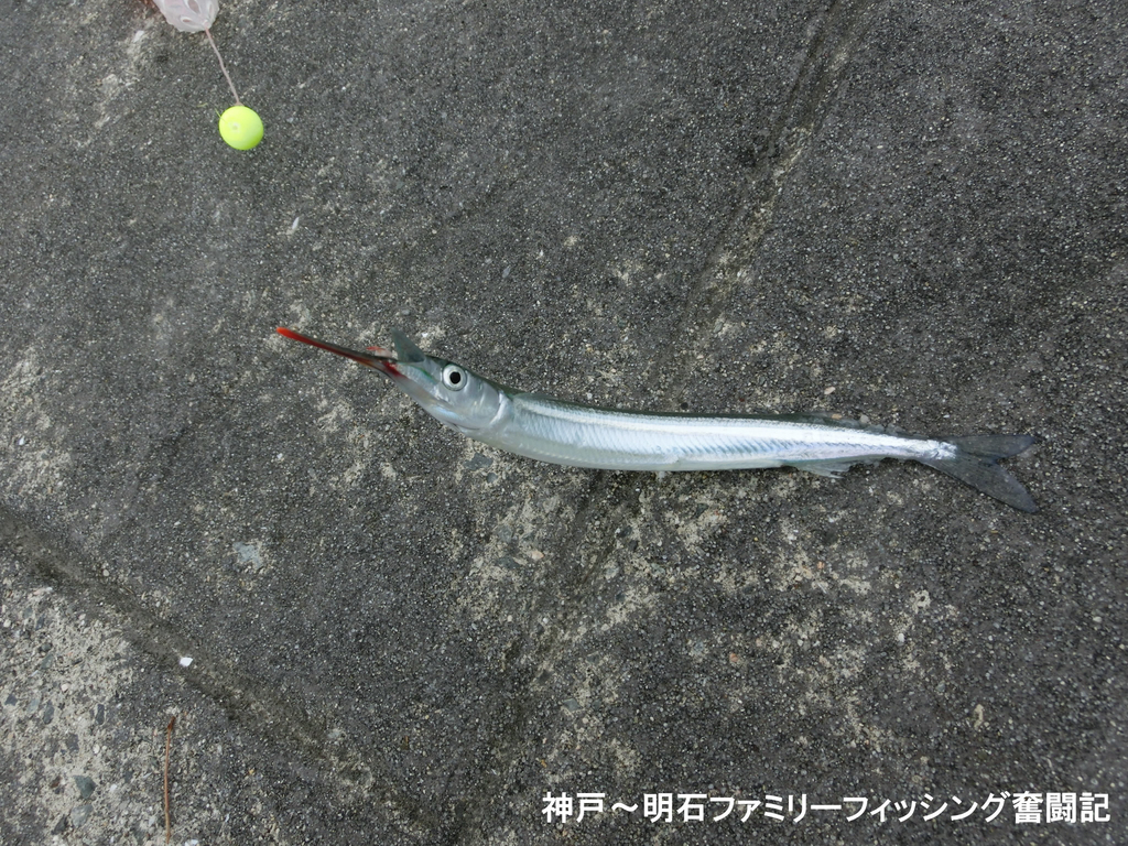 f:id:yggxq957:20180916200356j:plain