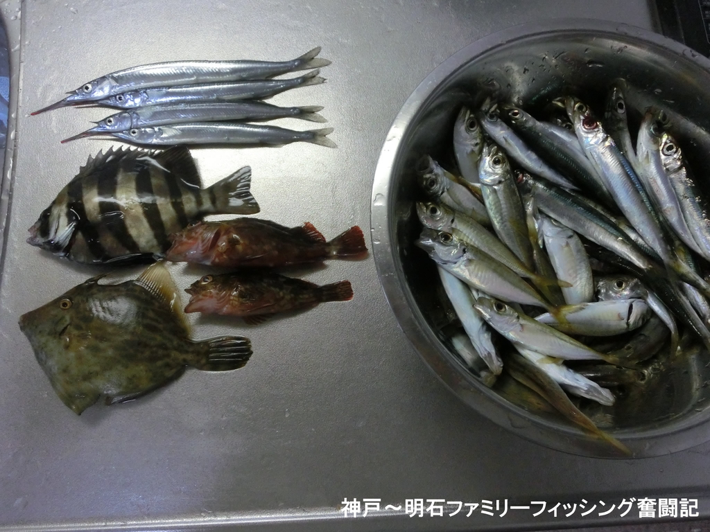 f:id:yggxq957:20180916213004j:plain