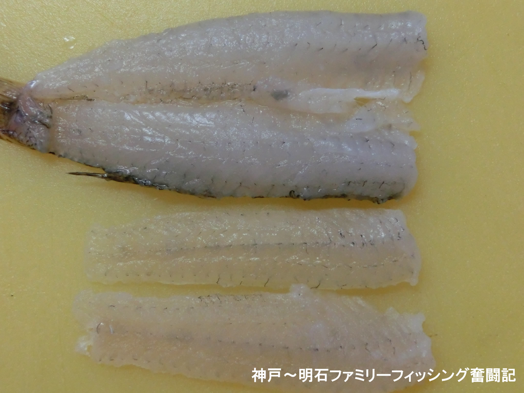 f:id:yggxq957:20180917181932j:plain