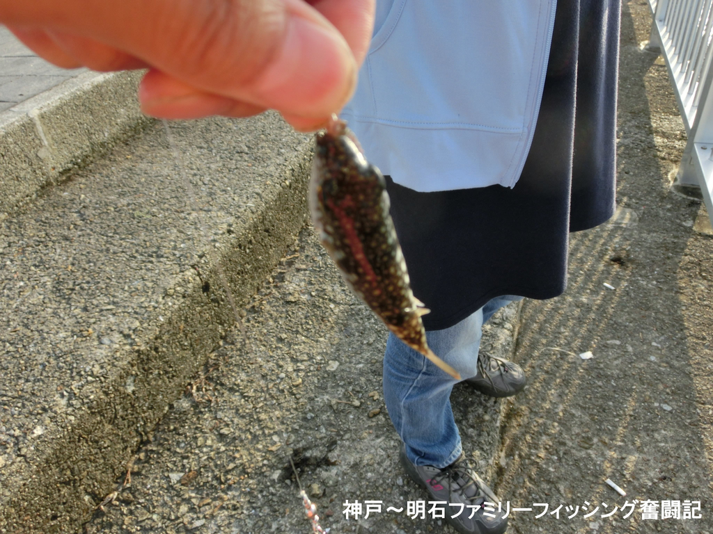 f:id:yggxq957:20180925183643j:plain