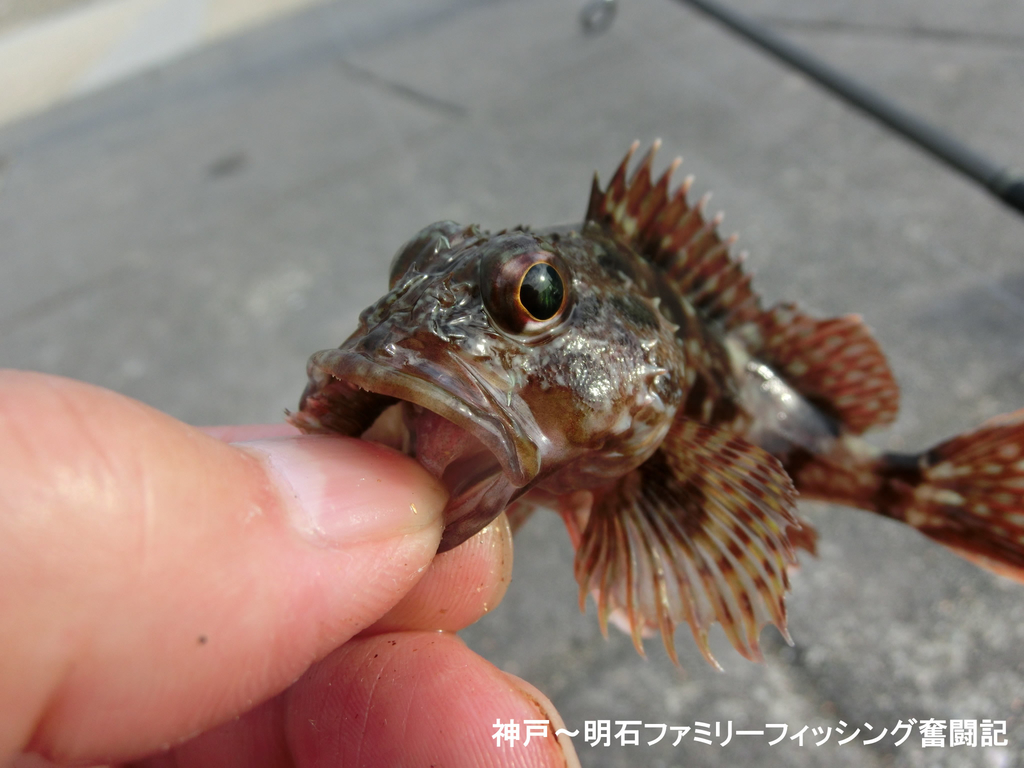 f:id:yggxq957:20180925184142j:plain