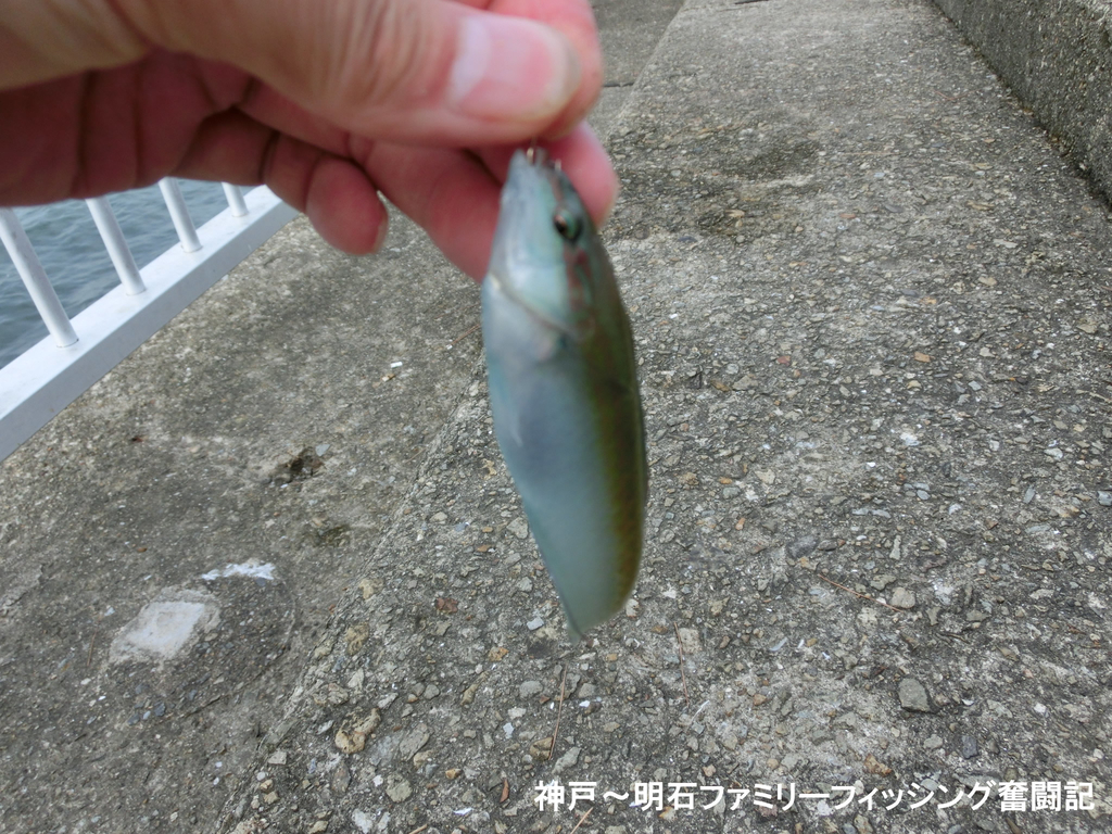 f:id:yggxq957:20180925185117j:plain