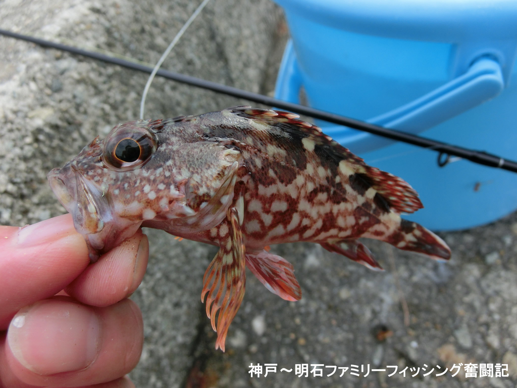 f:id:yggxq957:20180925185736j:plain