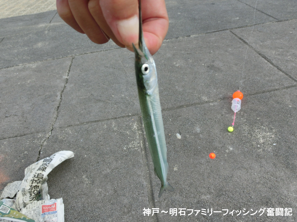 f:id:yggxq957:20180925185934j:plain