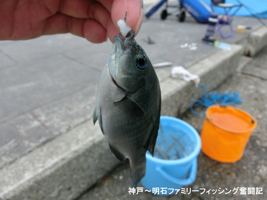 f:id:yggxq957:20180925193905j:plain