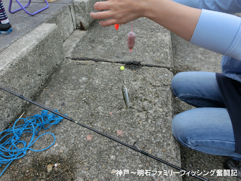 f:id:yggxq957:20180925194552j:plain