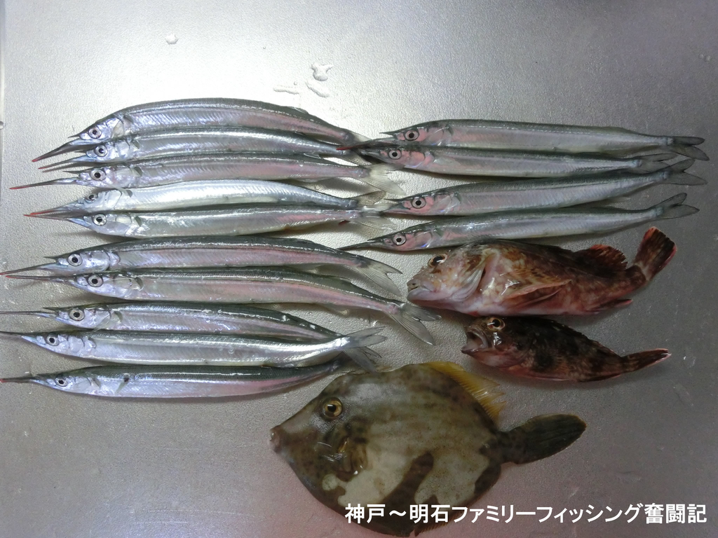 f:id:yggxq957:20180925200111j:plain