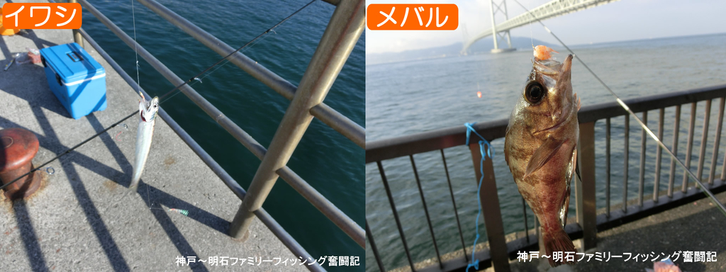 f:id:yggxq957:20181005183023j:plain