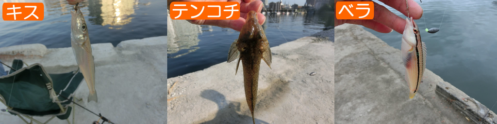 f:id:yggxq957:20181008191621j:plain f:id:yggxq957:20181008191621j:plain