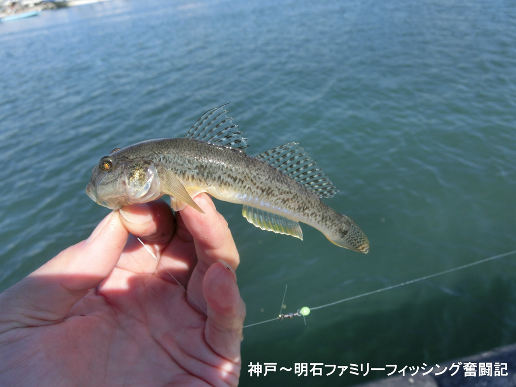 f:id:yggxq957:20181029192311j:plain f:id:yggxq957:20181029192311j:plain