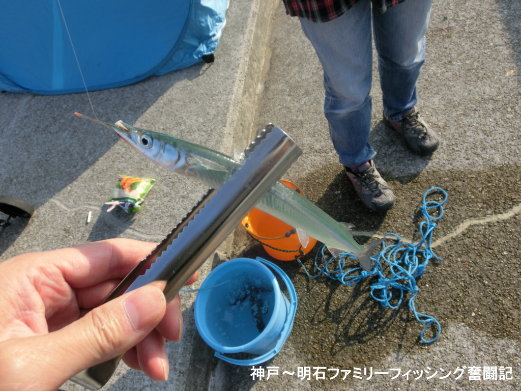 f:id:yggxq957:20181111192659j:plain