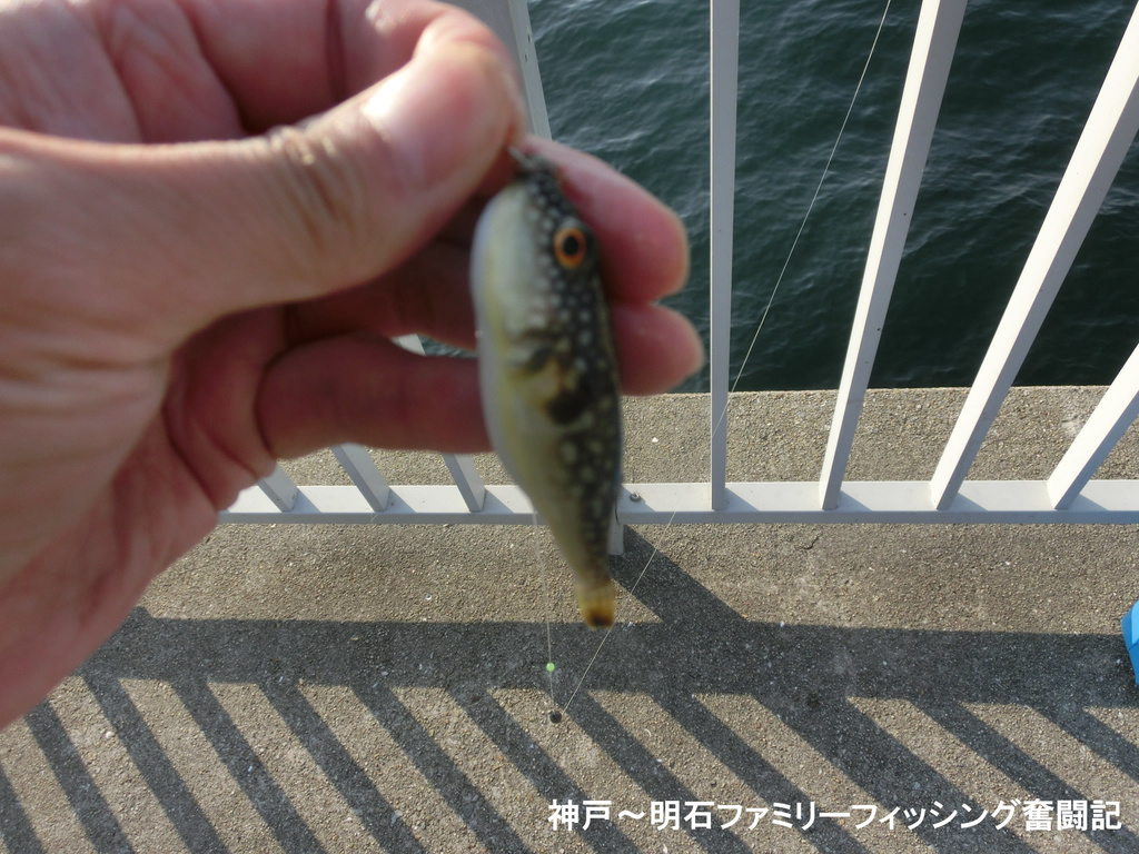 f:id:yggxq957:20181111200248j:plain