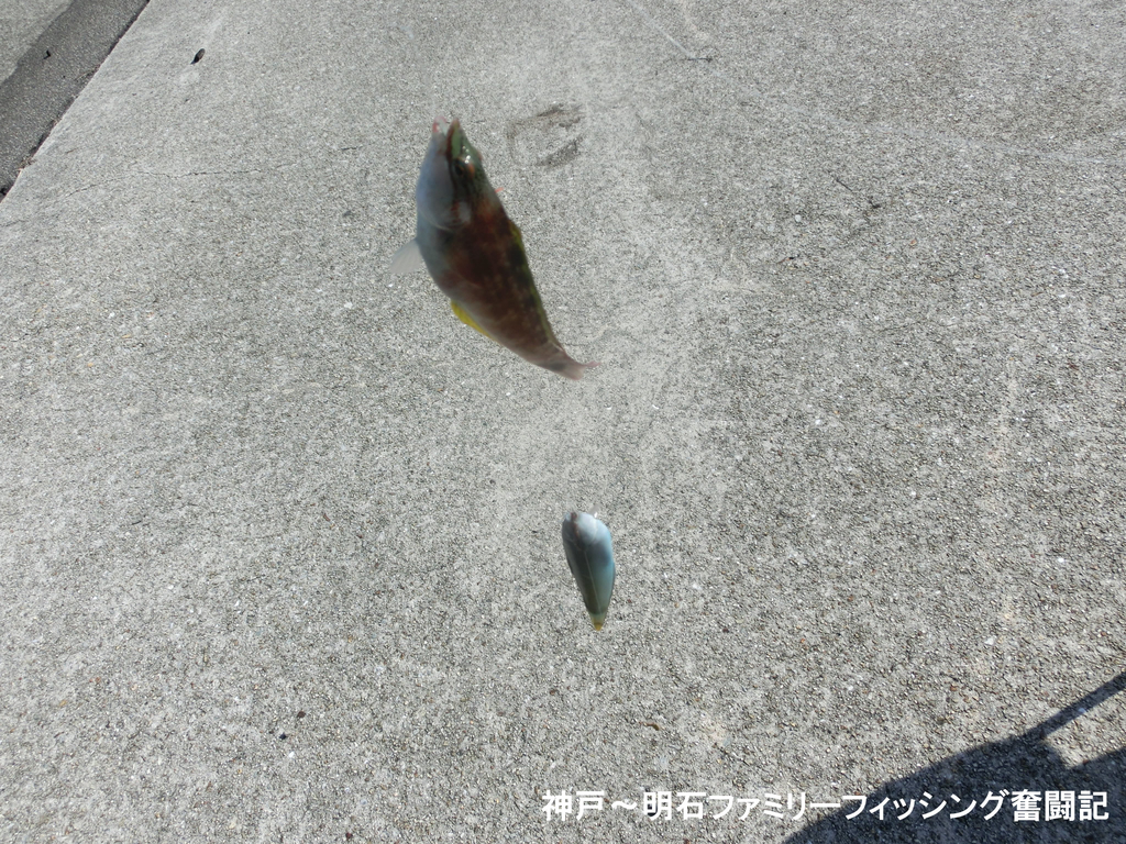 f:id:yggxq957:20181111200614j:plain