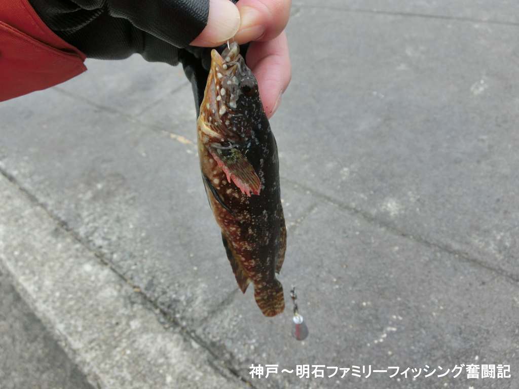 f:id:yggxq957:20190106184345j:plain