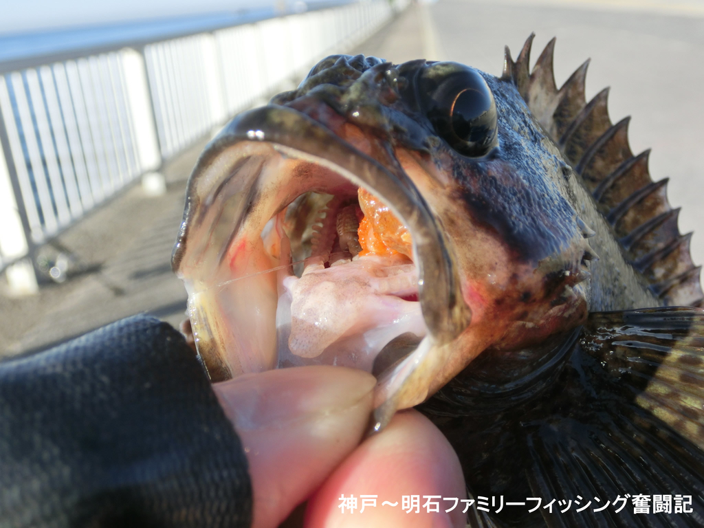 f:id:yggxq957:20190114160424j:plain