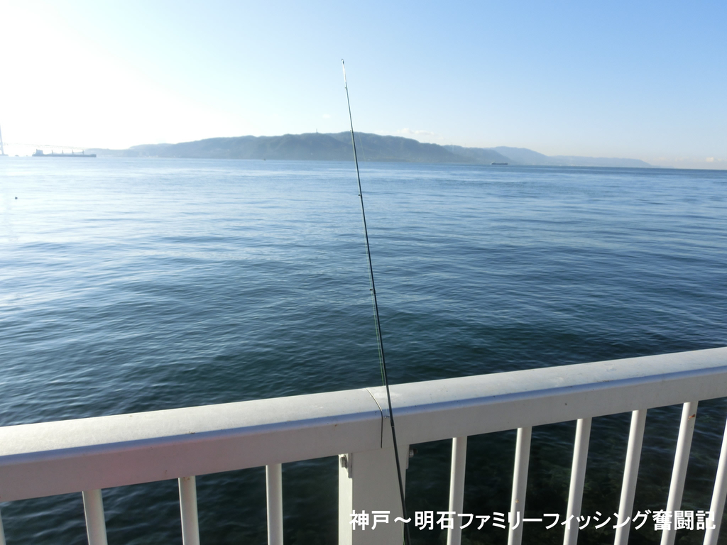 f:id:yggxq957:20190114160835j:plain