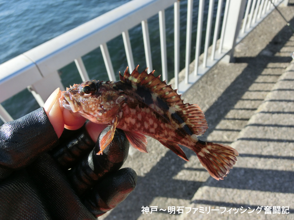 f:id:yggxq957:20190114161129j:plain