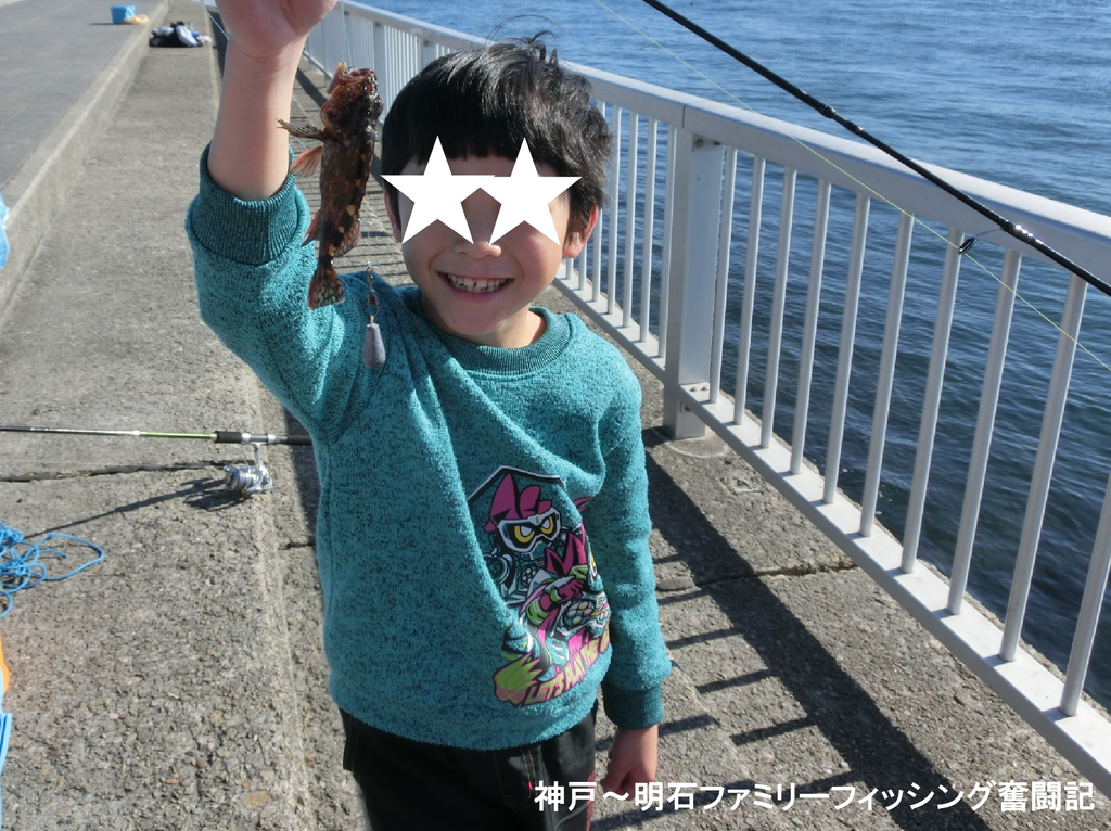 f:id:yggxq957:20190114162903j:plain