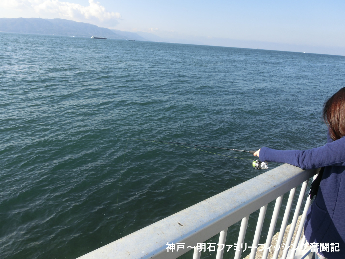 f:id:yggxq957:20190324190204j:plain