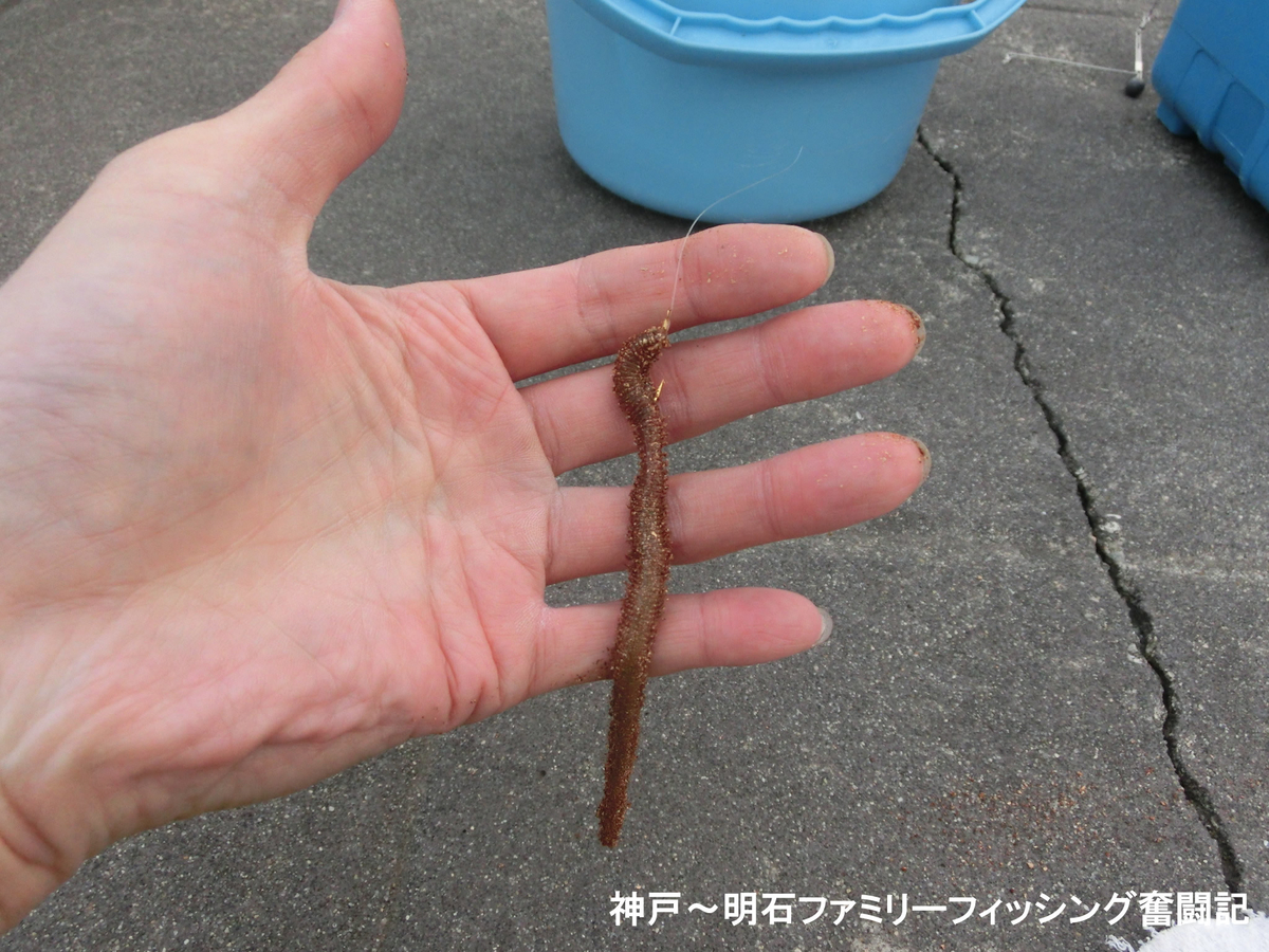 f:id:yggxq957:20190421151319j:plain