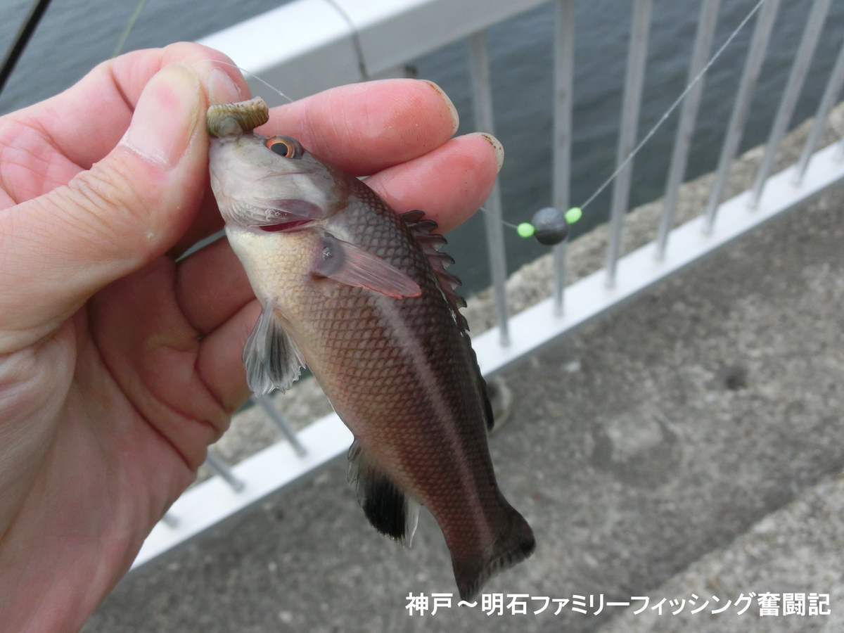 f:id:yggxq957:20190421152154j:plain