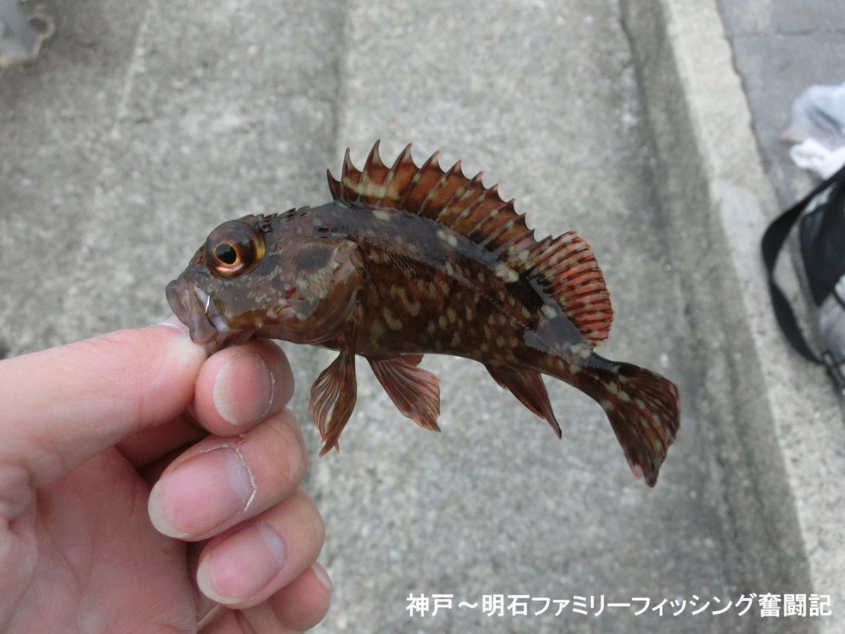 f:id:yggxq957:20190421152230j:plain