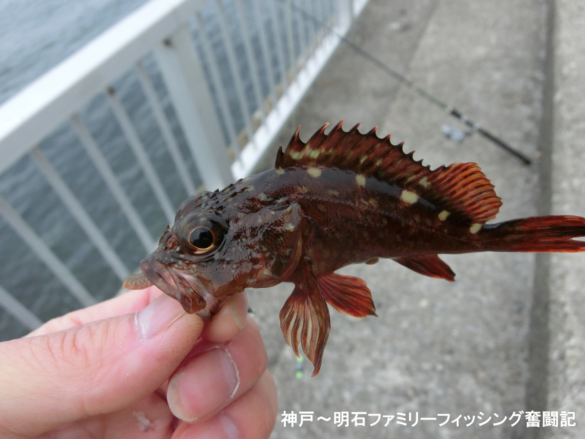 f:id:yggxq957:20190421152322j:plain