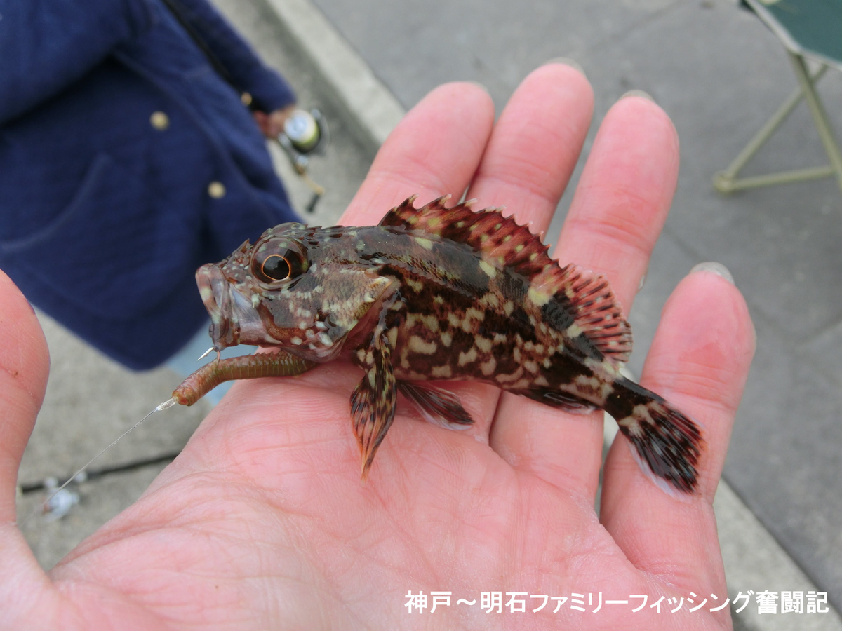 f:id:yggxq957:20190421152400j:plain