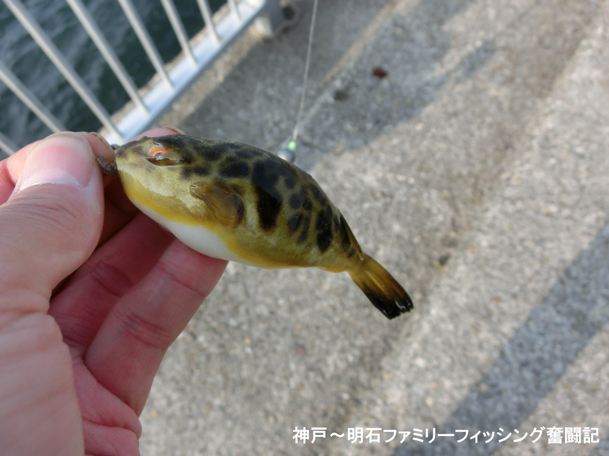 f:id:yggxq957:20190421152440j:plain