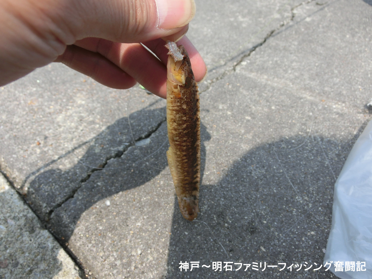 f:id:yggxq957:20190421152648j:plain