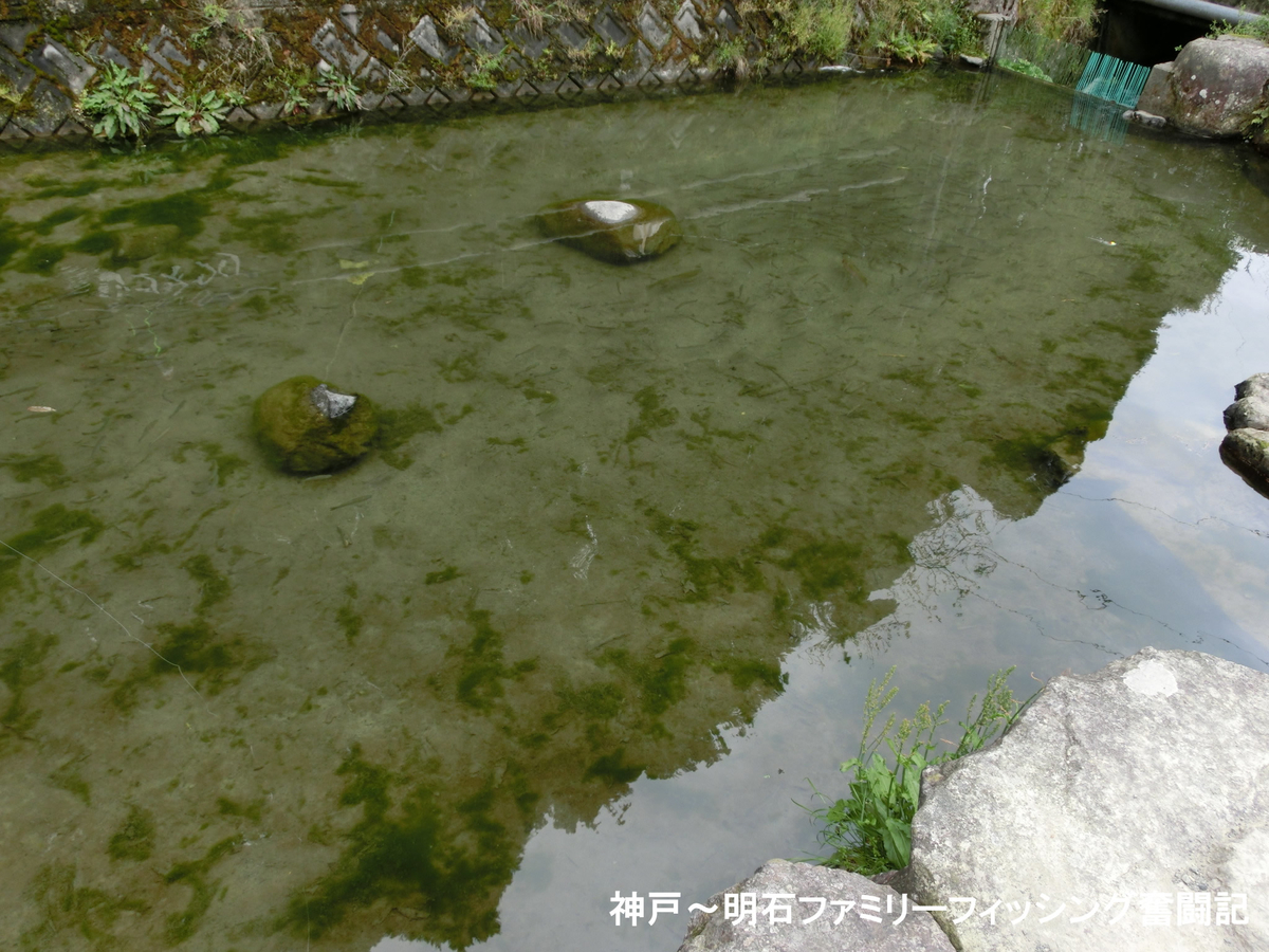 f:id:yggxq957:20190501083533j:plain