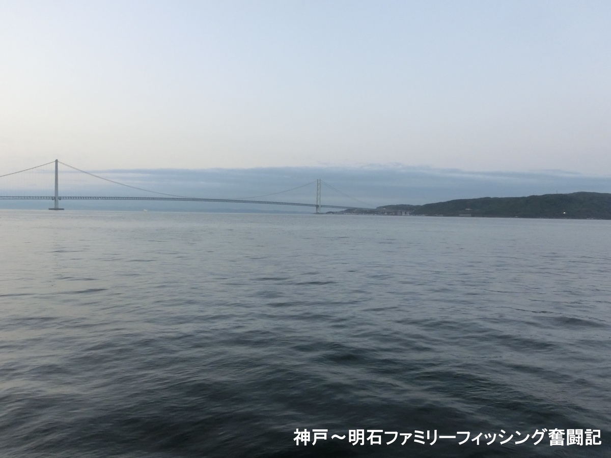 f:id:yggxq957:20190502142444j:plain