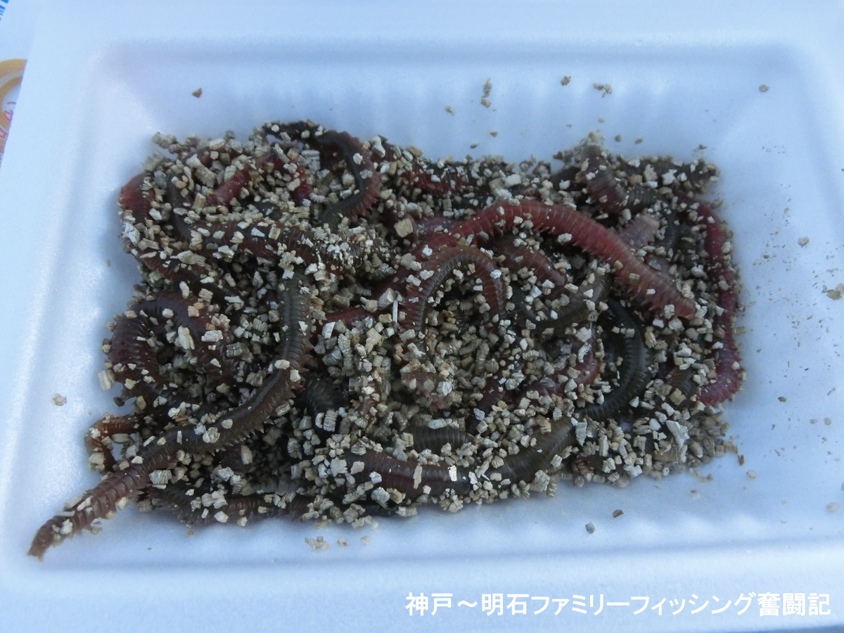 f:id:yggxq957:20190502142608j:plain