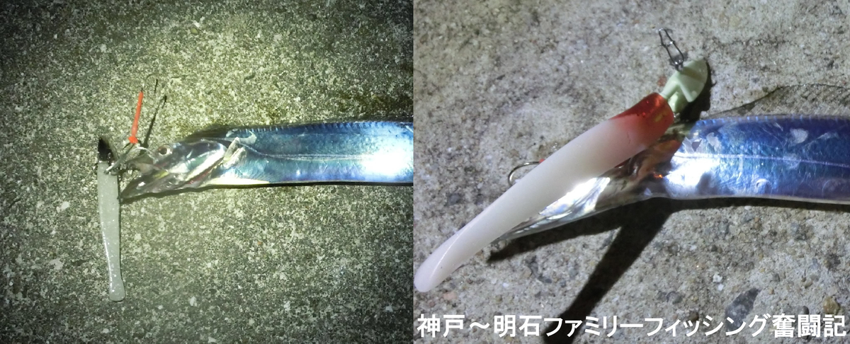 f:id:yggxq957:20190618060143j:plain