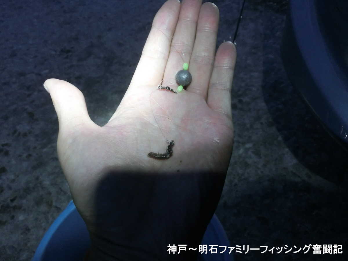 港内キス釣りでカレイのおまけ付き 神戸 明石のファミリーフィッシング奮闘記 関西の釣りをもっと手軽に楽しむ