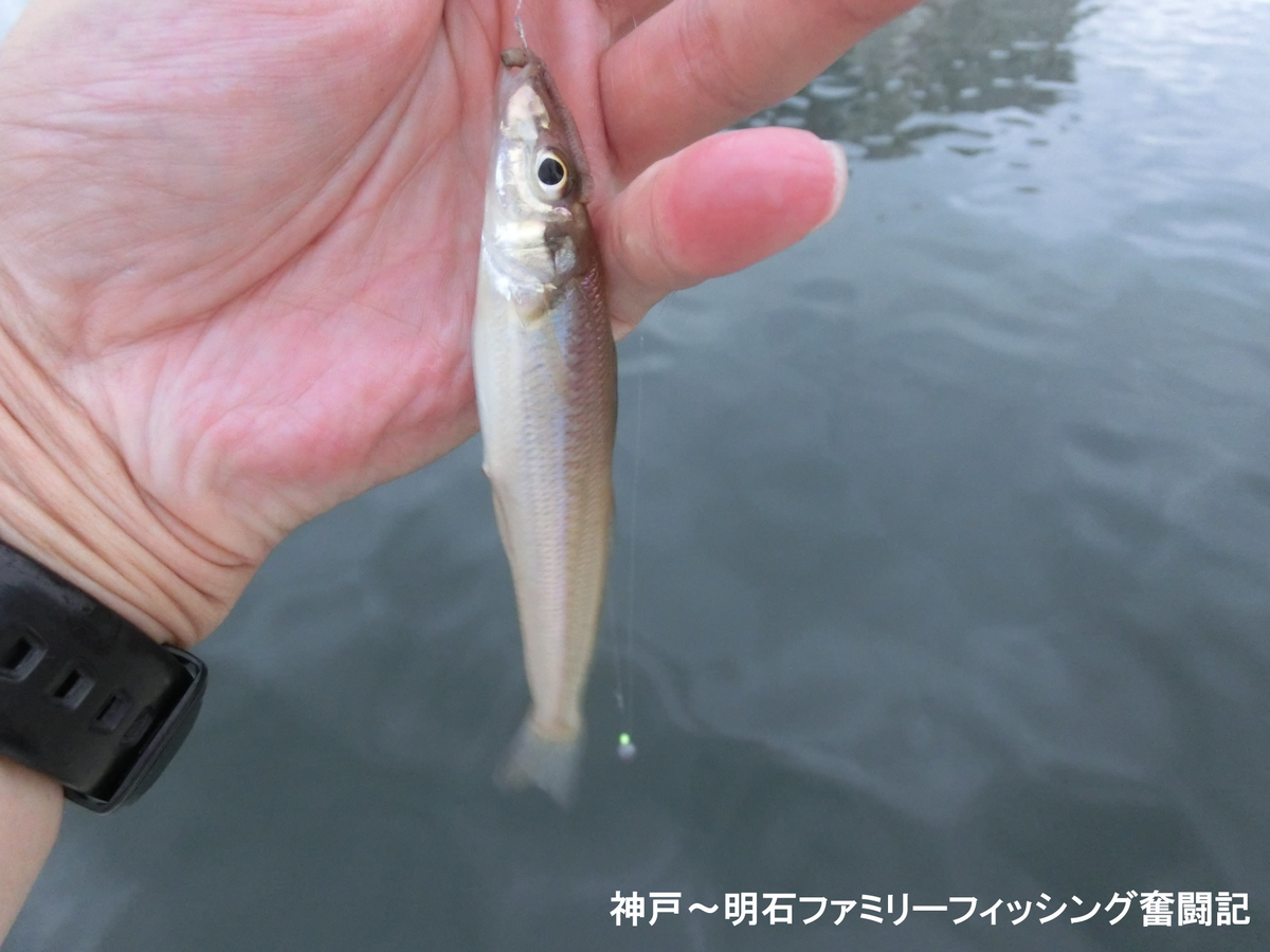 f:id:yggxq957:20190721143902j:plain