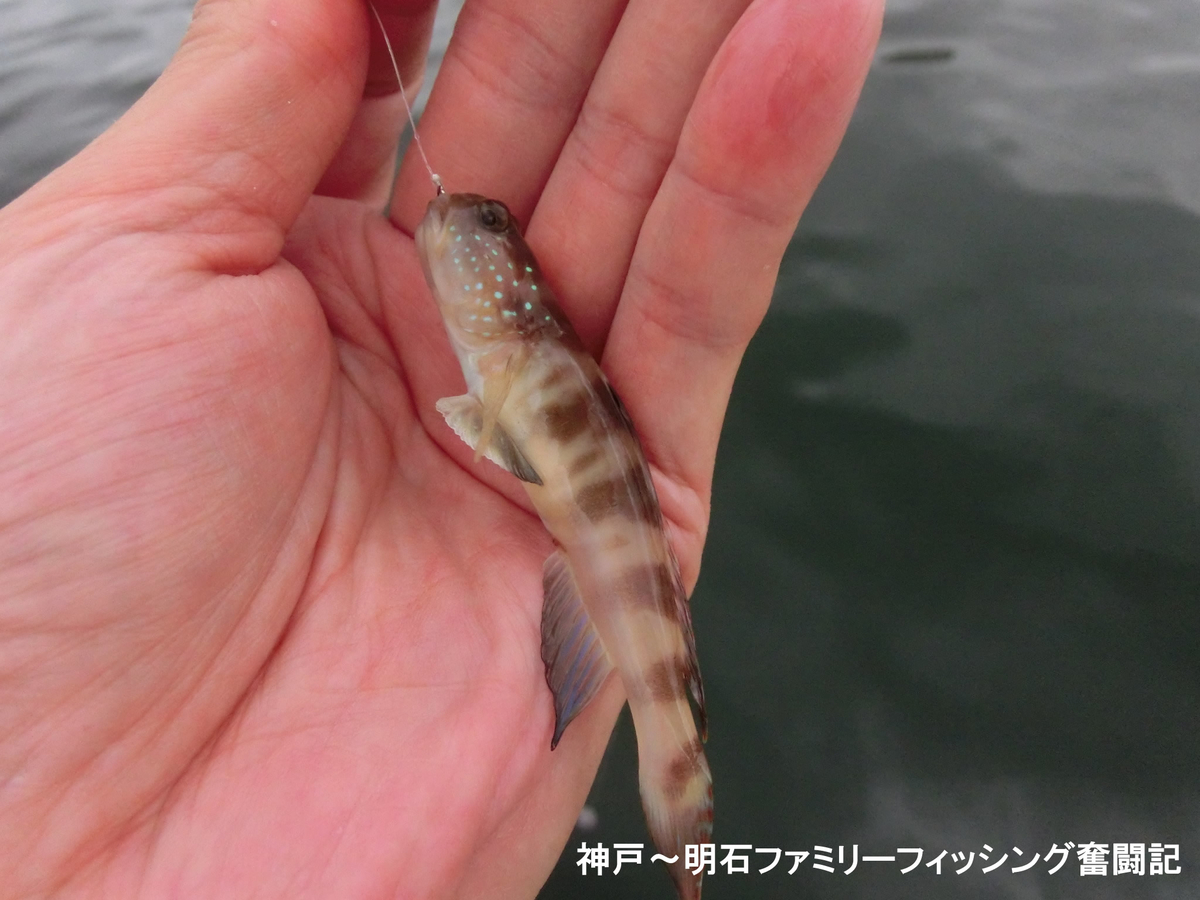 f:id:yggxq957:20190721144101j:plain