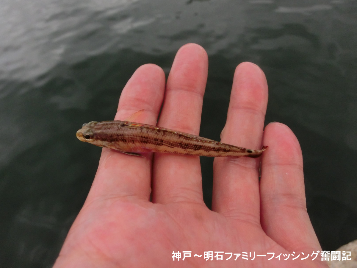 f:id:yggxq957:20190721144155j:plain