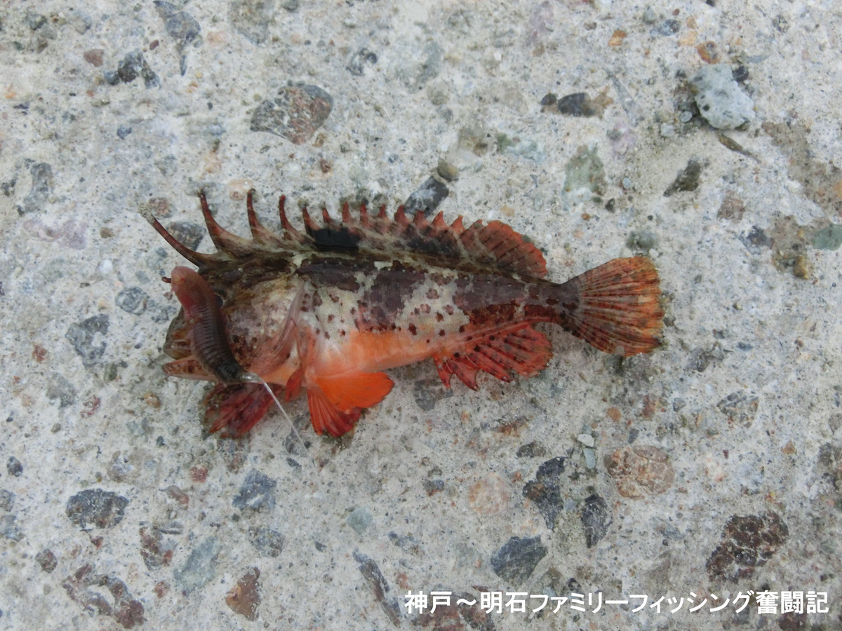 f:id:yggxq957:20190721144525j:plain