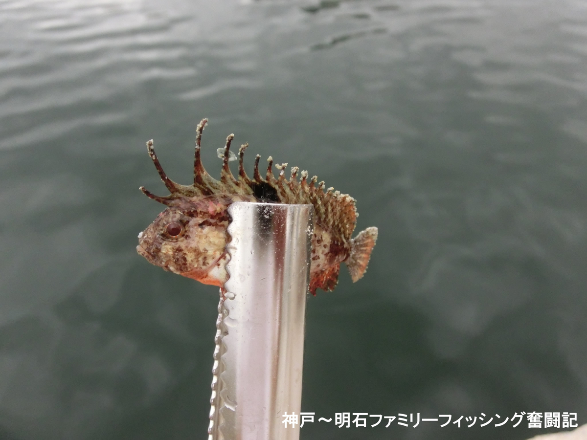 f:id:yggxq957:20190721145022j:plain