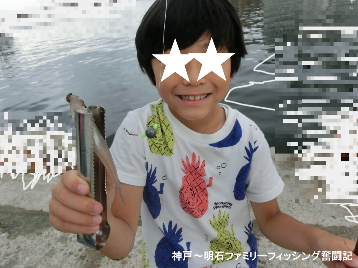 f:id:yggxq957:20190721145905j:plain