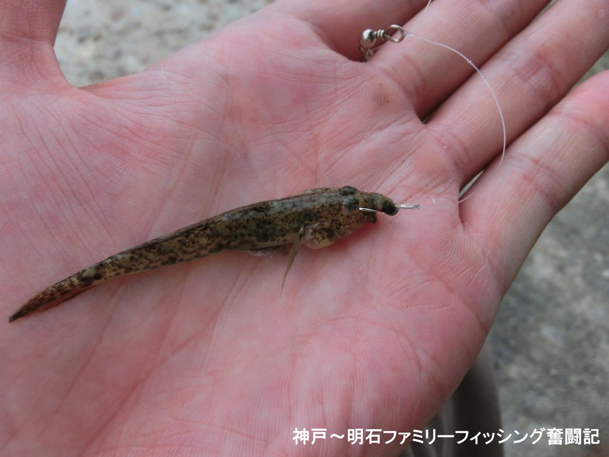 f:id:yggxq957:20190721150806j:plain