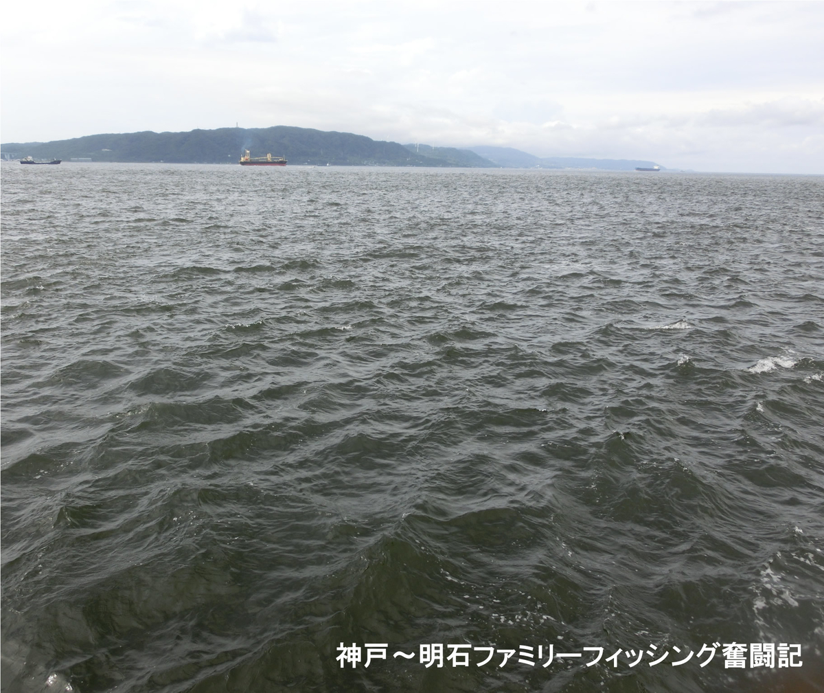 f:id:yggxq957:20190721151517j:plain