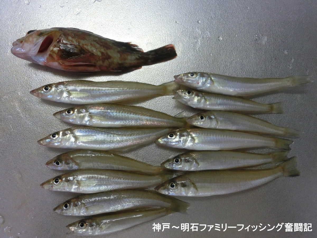 f:id:yggxq957:20190721154117j:plain