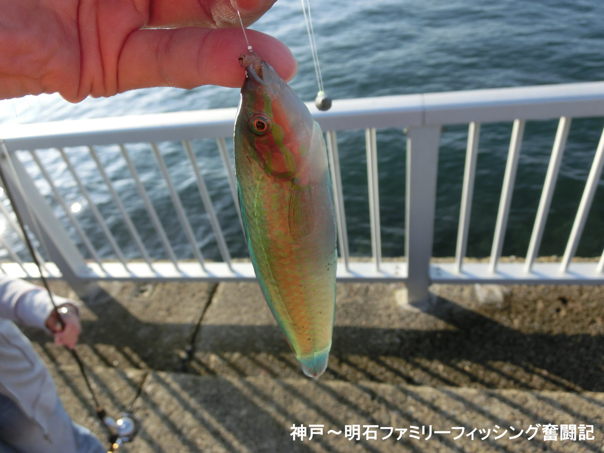 f:id:yggxq957:20191022174750j:plain