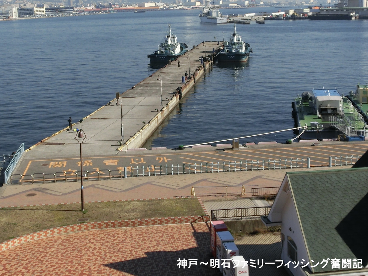 北 釣り 公園 アイランド ポート