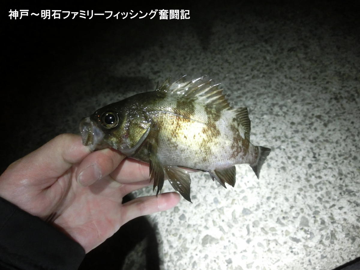 f:id:yggxq957:20191209052909j:plain