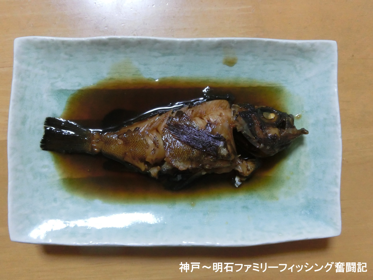 f:id:yggxq957:20191210054832j:plain