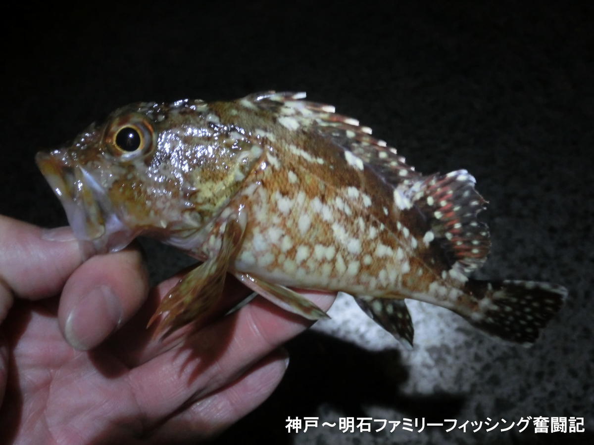 f:id:yggxq957:20191214101348j:plain